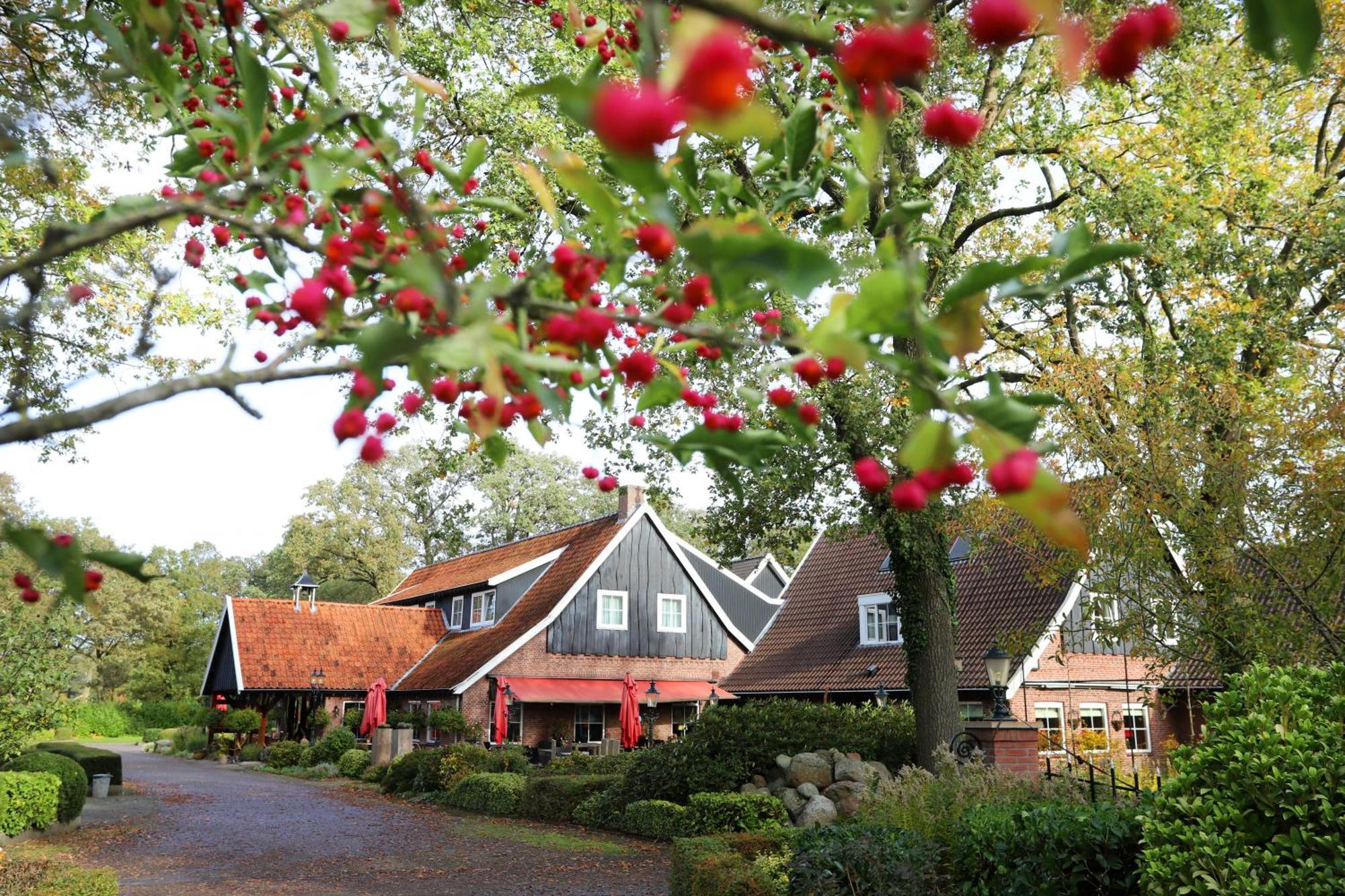 Het Ros Van Twente De Lutte Bagian luar foto